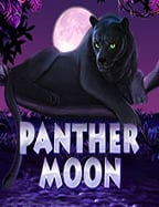 ทดลองฟรีวันนี้! สล็อต ปอย เปต ความเร้าใจรออยู่